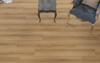 15016-2 Rendering