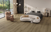 15015-4 Rendering