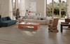 15013-2 Rendering