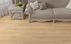 15015-1 Rendering